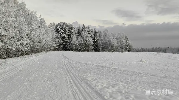 高清摄影 冬日雪景：森林与道路