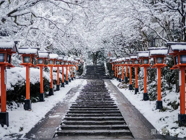 高清摄影 雪中的鸟居