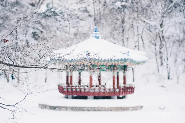 高清摄影 冬日雪景中的传统亭子