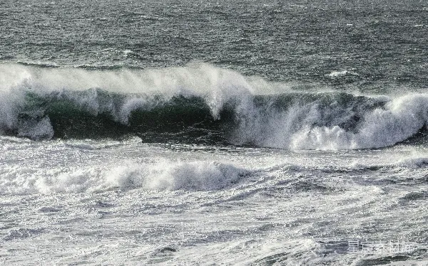高清摄影 狂野的海浪