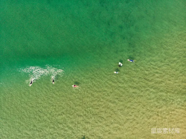高清摄影 俯瞰冲浪者在碧绿海水中划水