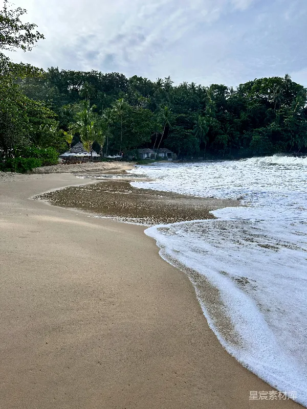 高清摄影 有树和建筑的海滩