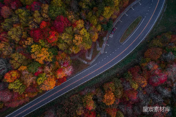高清摄影 秋日森林中的蜿蜒道路