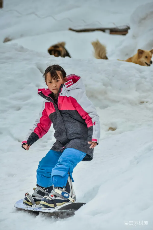 高清摄影 雪地里的快乐时光