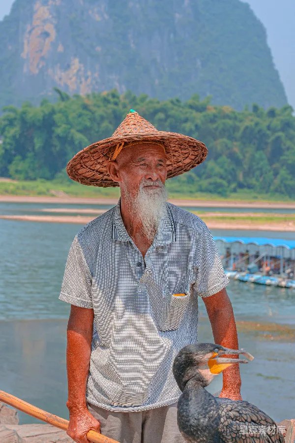 高清摄影 桂林山水边的渔翁与鸬鹚