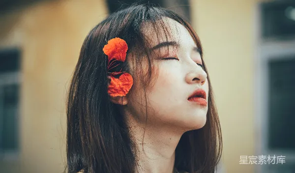 高清摄影 享受自然的宁静时光
