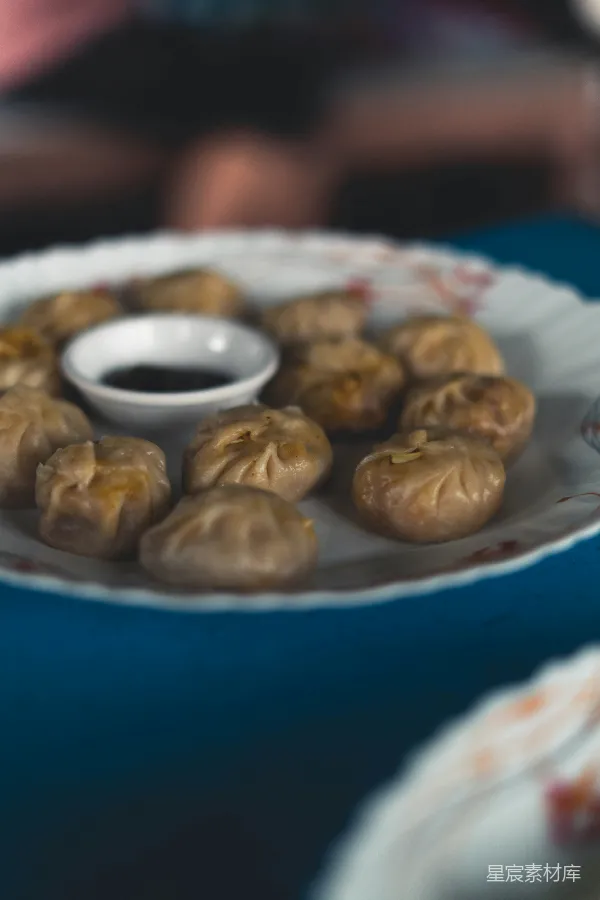 高清摄影 精致的饺子盘