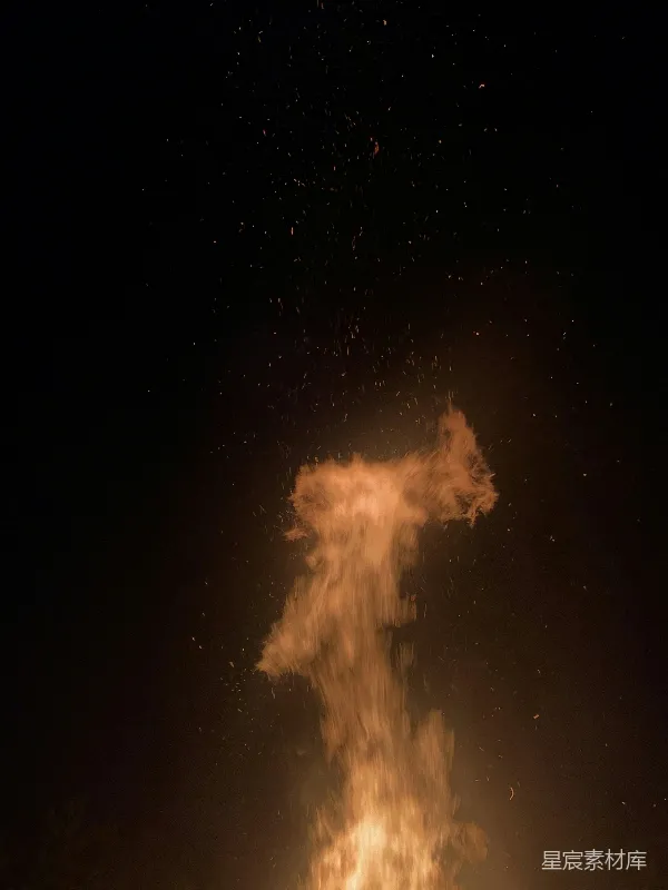 高清摄影 夜空中的烟花爆炸