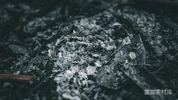 高清摄影 灰烬与枯枝