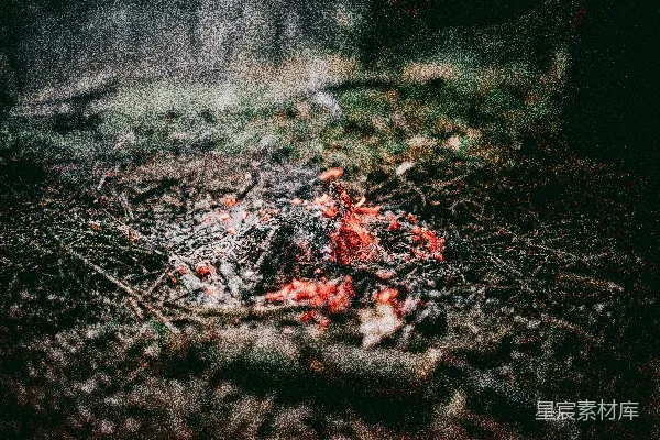 高清摄影 森林中的篝火