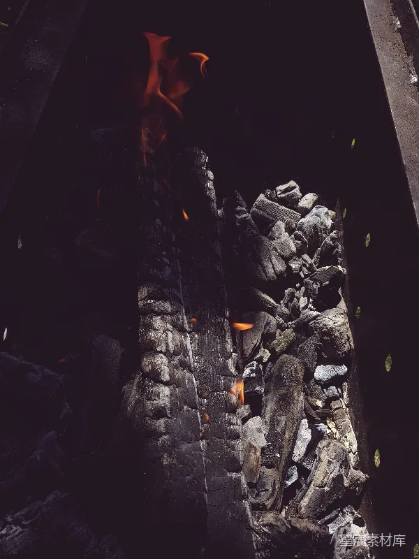 高清摄影 火焰中的木炭