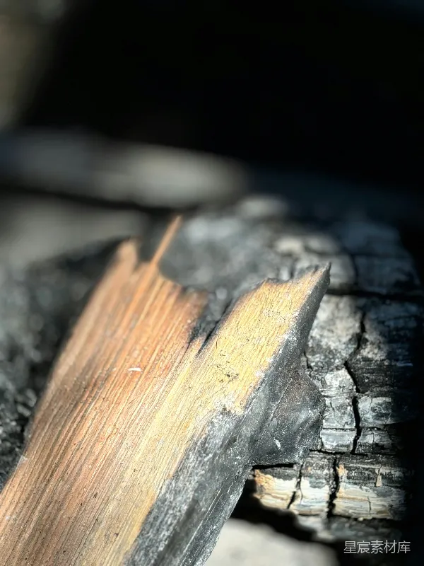 高清摄影 烧焦的木头