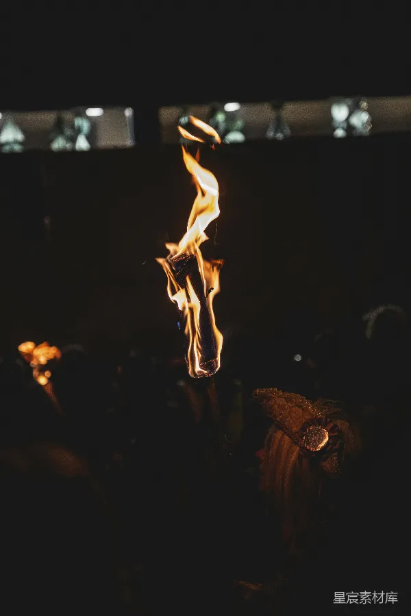 高清摄影 夜幕下的火把