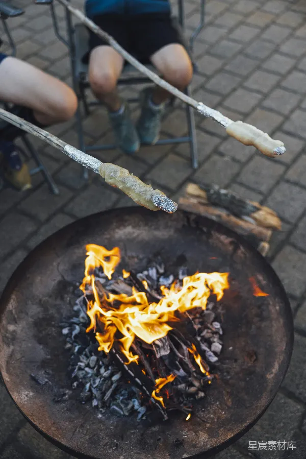 高清摄影 篝火烤肉