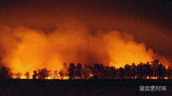 高清摄影 森林火灾之夜