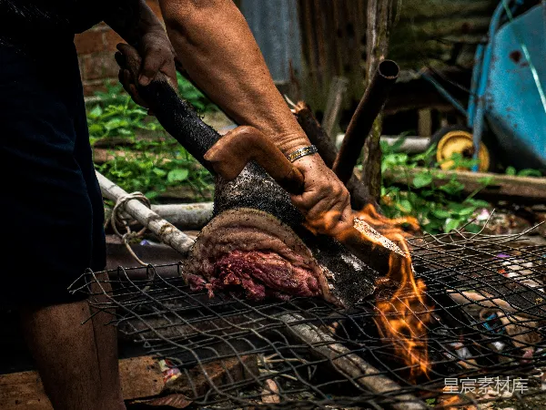 高清摄影 炭烤猪蹄
