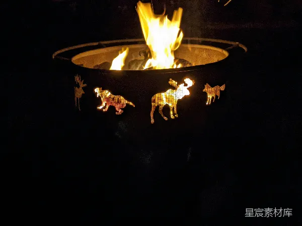 高清摄影 篝火中的动物剪影