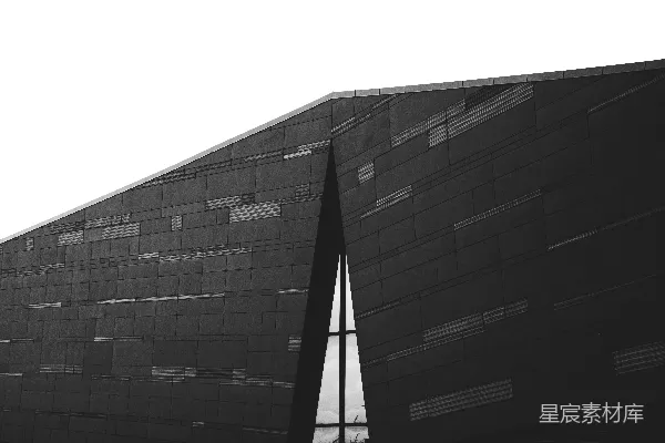 高清摄影 现代建筑的黑白剪影