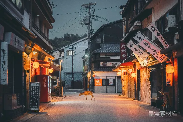 高清摄影 日本街头的宁静黄昏