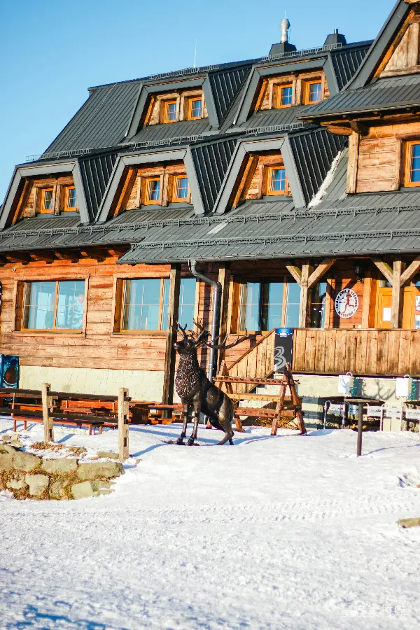 高清摄影 雪地里的木屋与鹿雕像