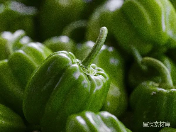 高清摄影 新鲜青椒特写