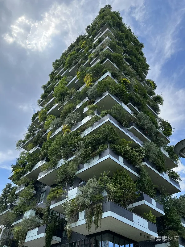 高清摄影 树上的一栋建筑