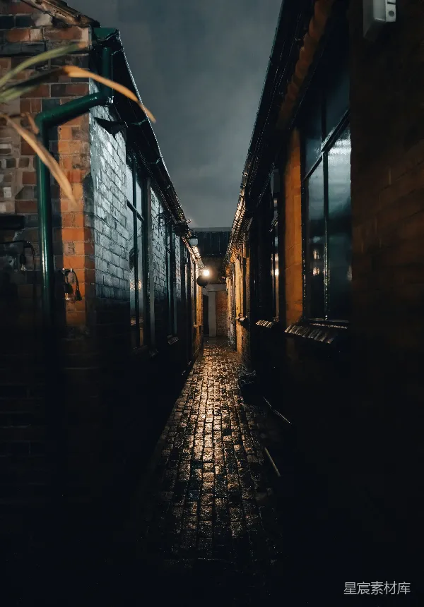 高清摄影 夜晚的砖巷
