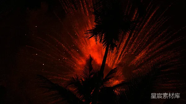 高清摄影 火山爆发下的棕榈树