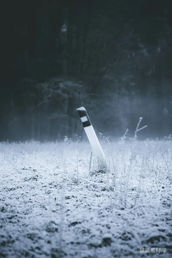 高清摄影 冬日的霜雪与路标