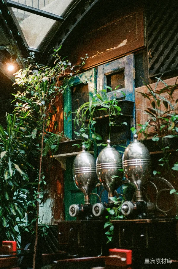 高清摄影 复古工业风植物展示室