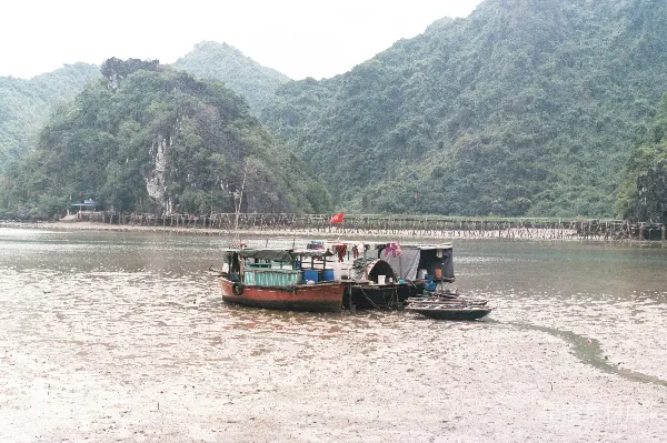 高清摄影 越南竹桥上的渔村生活