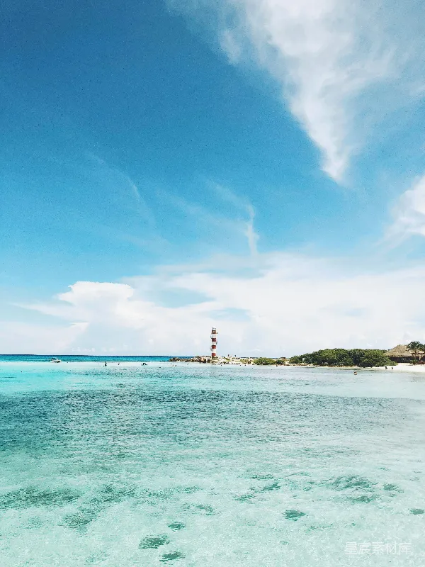 高清摄影 海滩上的人在白天。