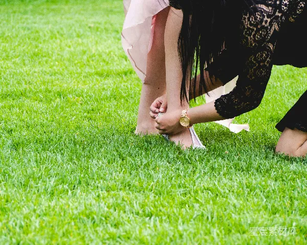 高清摄影 绿草上的婚礼准备