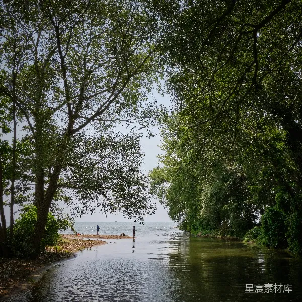 高清摄影 湖畔垂钓的宁静时光