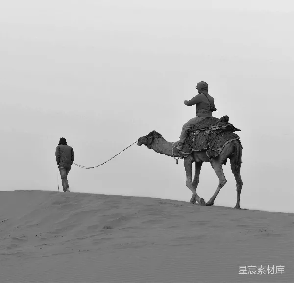 高清摄影 沙漠中的驼铃