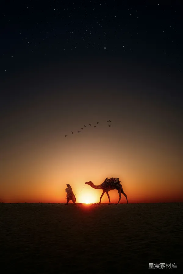 高清摄影 夕阳下的沙漠驼铃