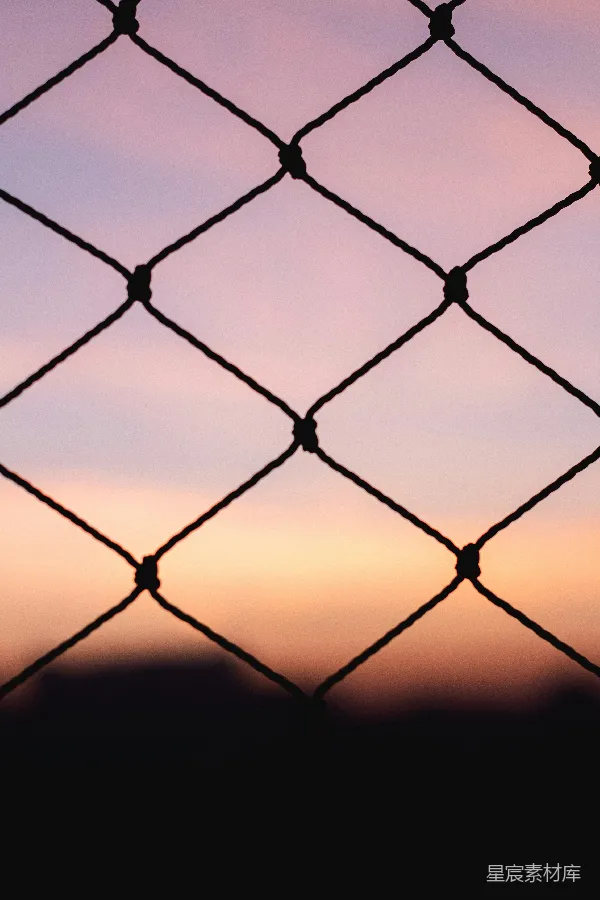 高清摄影 夕阳下的网格围栏
