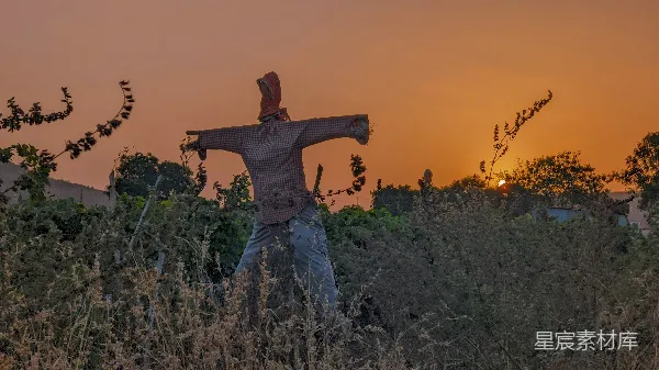 高清摄影 夕阳下的稻草人