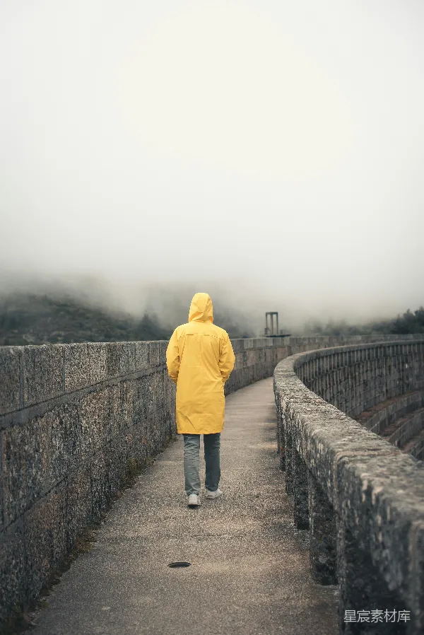 高清摄影 雾中独行者