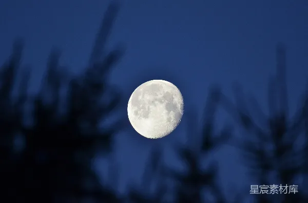 高清摄影 夜空中的满月