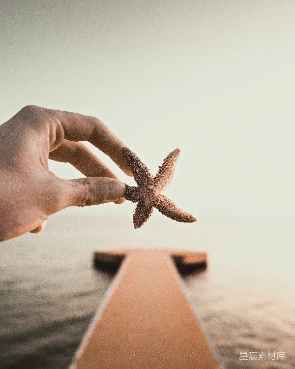 高清摄影 手握海星，海边静谧