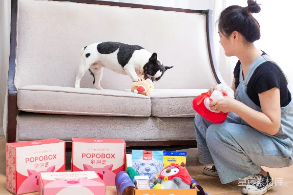 高清摄影 温馨宠物开箱日：POPOBOX送惊喜