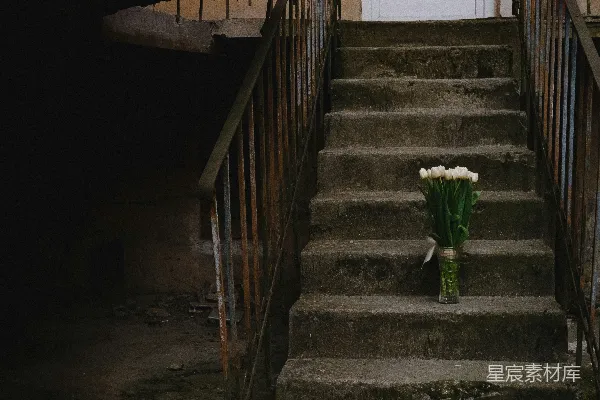 高清摄影 旧楼梯上的白花