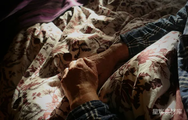 高清摄影 温暖的拥抱
