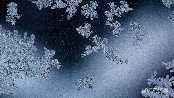 高清摄影 一扇窗户上的雪花特写