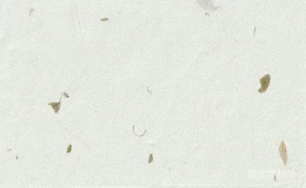 高清摄影 带有小棕色斑点的质感米色纸张