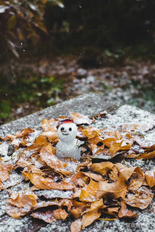 高清摄影 雪人玩偶置于棕色干叶子之上