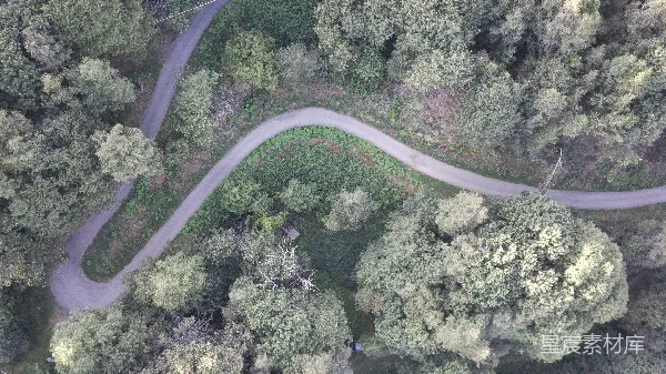 高清摄影 森林中蜿蜒道路的空中俯瞰图