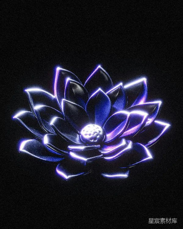 高清摄影 一朵蓝紫色的花在黑色背景上
