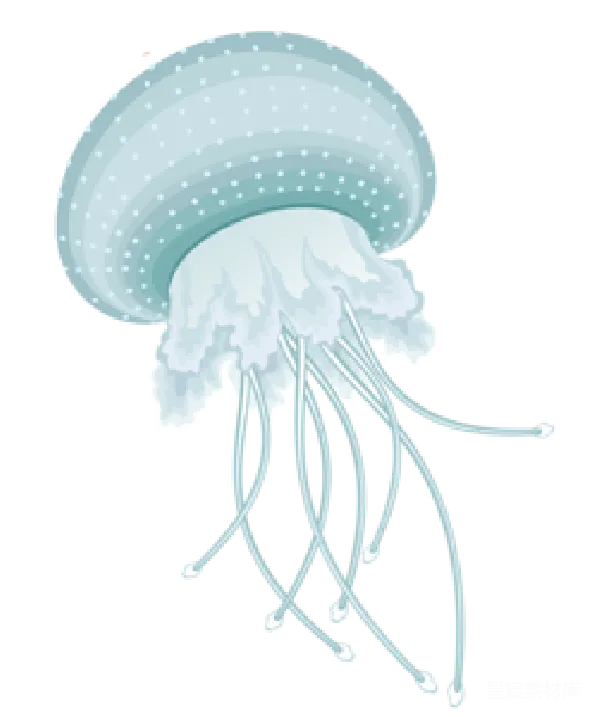 元素素材 水母插图